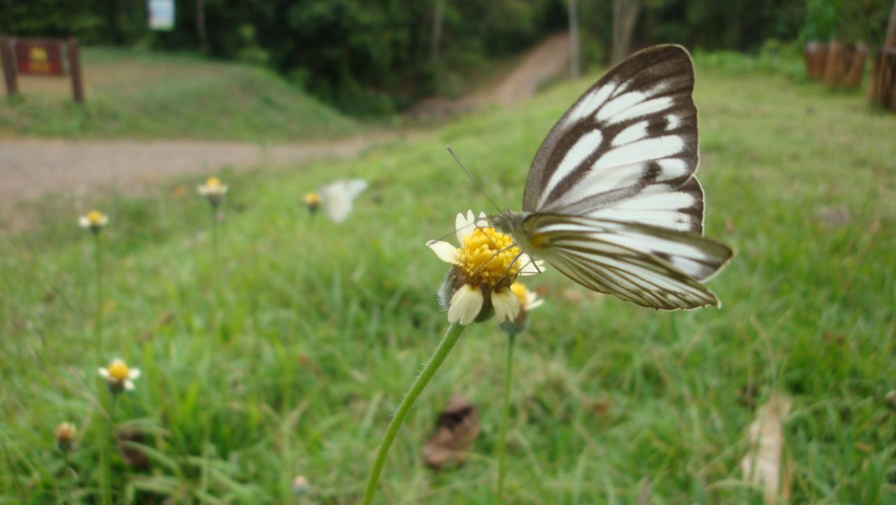 Kaengkachan Lake Hill Ban Song Phi Nong  Exterior foto